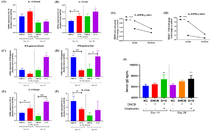 A refined comparative mouse model of acute and chronic atopic dermatitis.