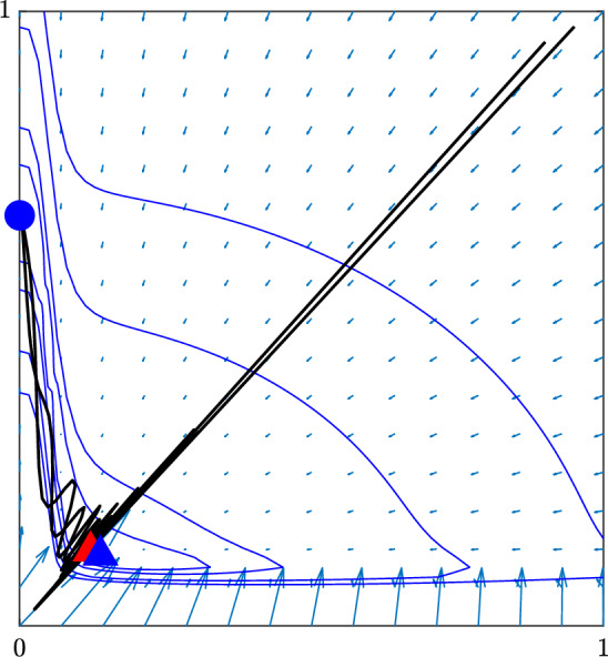 Modelling Population-Level Hes1 Dynamics: Insights from a Multi-framework Approach.