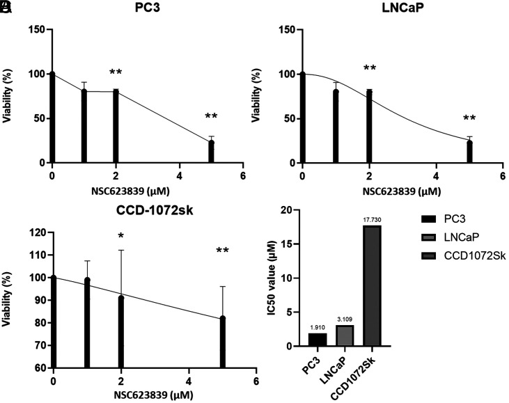 Targeting Prostate Cancer Cells by an Isopeptidase Inhibitor NSC632839.