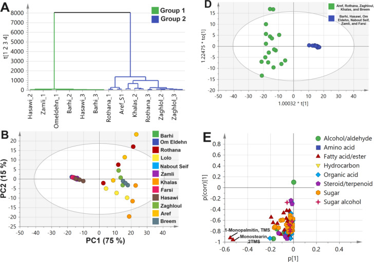 GC-MS based nutritional and aroma profiling of date palm seeds collected from different Egyptian cultivars for valorization purposes.