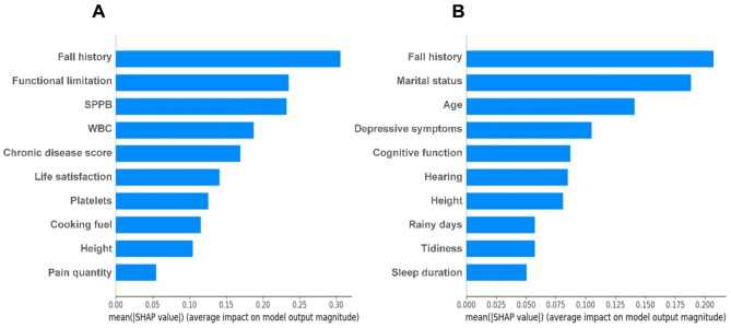 Comparing interpretable machine learning models for fall risk in middle-aged and older adults with and without pain.