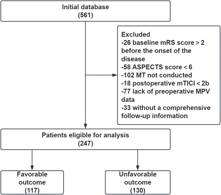Elevated MPV: A Key Indicator of Acute Anterior Circulation Stroke Prognosis in Mechanical Thrombectomy.