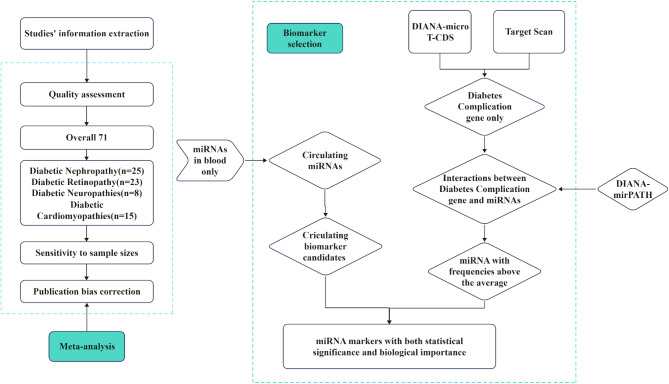 Discovering diabetes complications-related microRNAs: meta-analyses and pathway modeling approach.