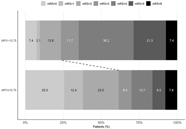 Elevated MPV: A Key Indicator of Acute Anterior Circulation Stroke Prognosis in Mechanical Thrombectomy.