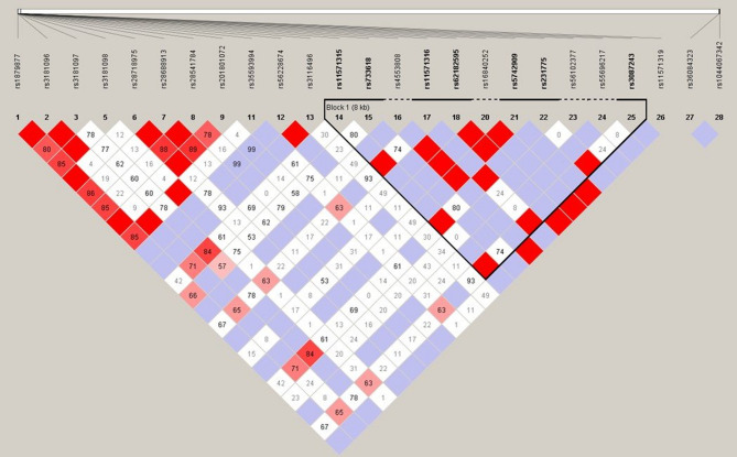 CD28 and CTLA4 polymorphisms associated with ankylosing spondylitis: a study in the context of HLA-B27.