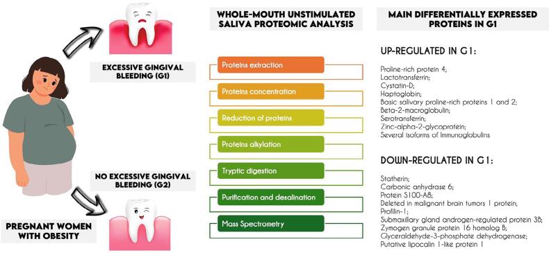 Generalized gingivitis-related salivary proteomic profile in pregnant women with obesity: insights into biological mechanisms assessed by Tandem Mass Spectrometry.