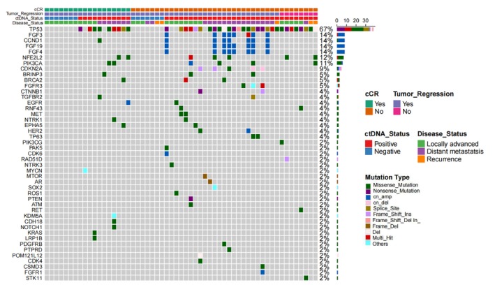 Circulating Tumor DNA Dynamic Changes in Esophageal Squamous Cell Carcinoma Receiving Immunochemotherapy.