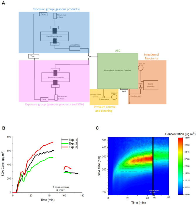 Immune consequences of exposure to β-pinene oxidation aerosols: adult versus gestational murine models.