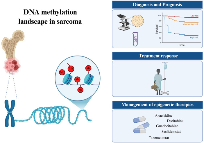 The DNA methylation landscape of musculoskeletal sarcomas.