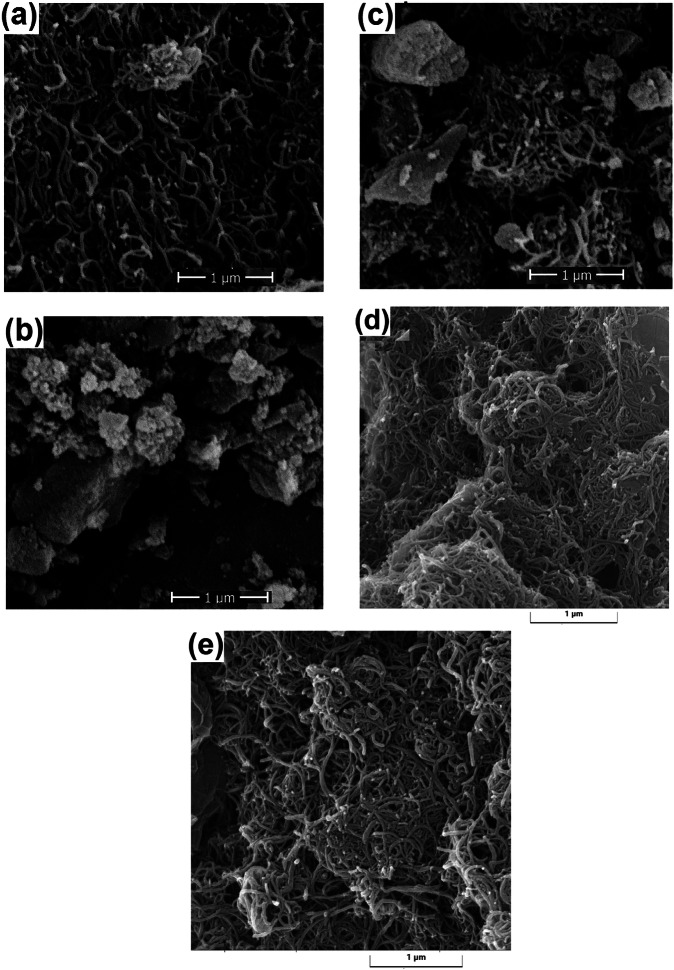 Carbon nanotubes/ordered mesoporous carbon/chitosan nanocomposite as a promising carrier for everolimus targeted delivery toward lung cancer cells.