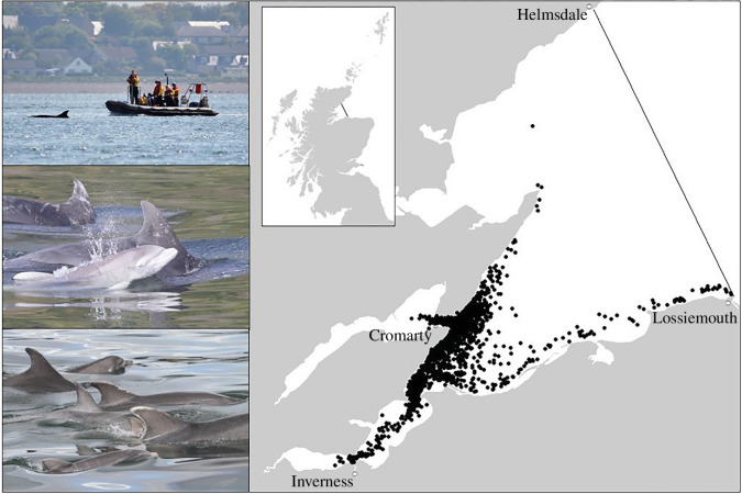 Correction to: 'Dolphin social phenotypes vary in response to food availability but not the North Atlantic Oscillation index' (2023), by Fisher and Cheney.