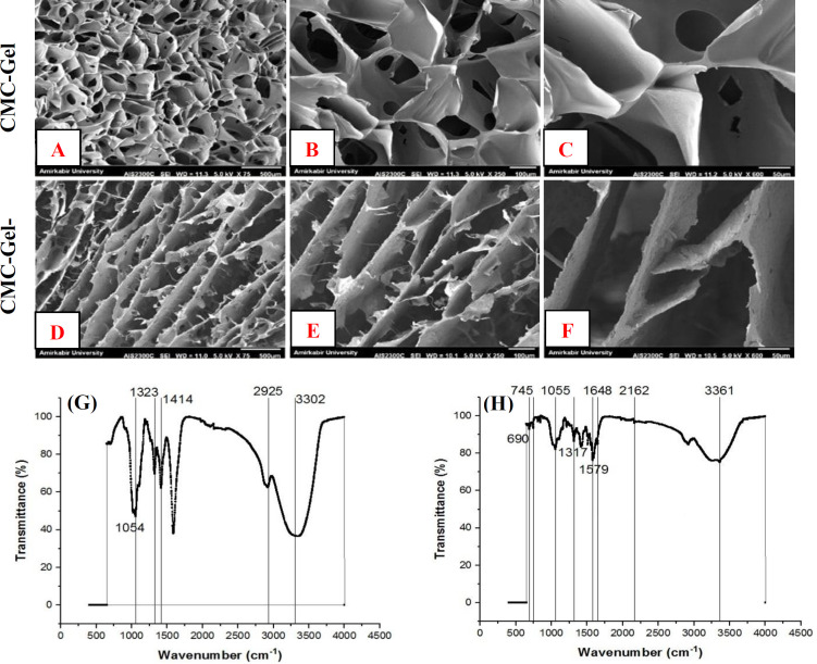 Atorvastatin-Loaded Carboxymethyl Cellulose-Gelatin Hydrogel: A Synergistic Strategy for Enhanced Wound Healing and Skin Tissue Regeneration.