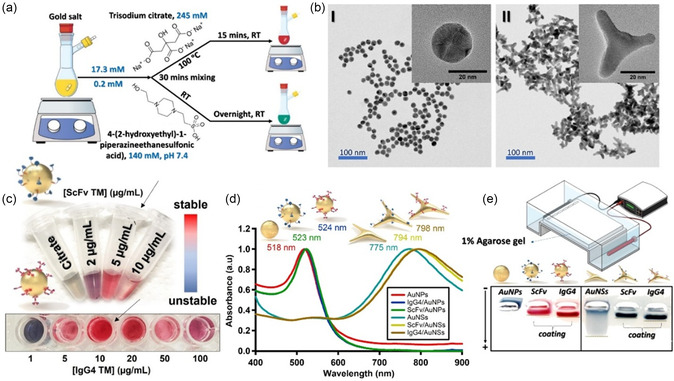 Exploring Morphology of Thermoplasmonic Nanoparticles to Synergize Immunotherapeutic Fibroblast Activation Protein-Positive Cell Sensitization and Photothermal Therapy.