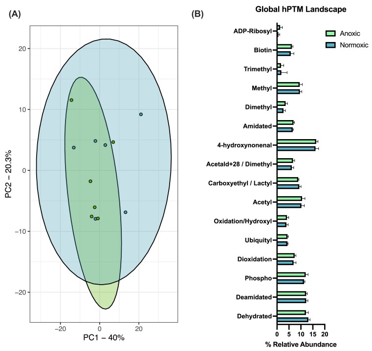 Global maintenance of histone post-translational modifications during the transition into anoxia in embryos of the annual killifish <i>Austrofundulus limnaeus</i>.