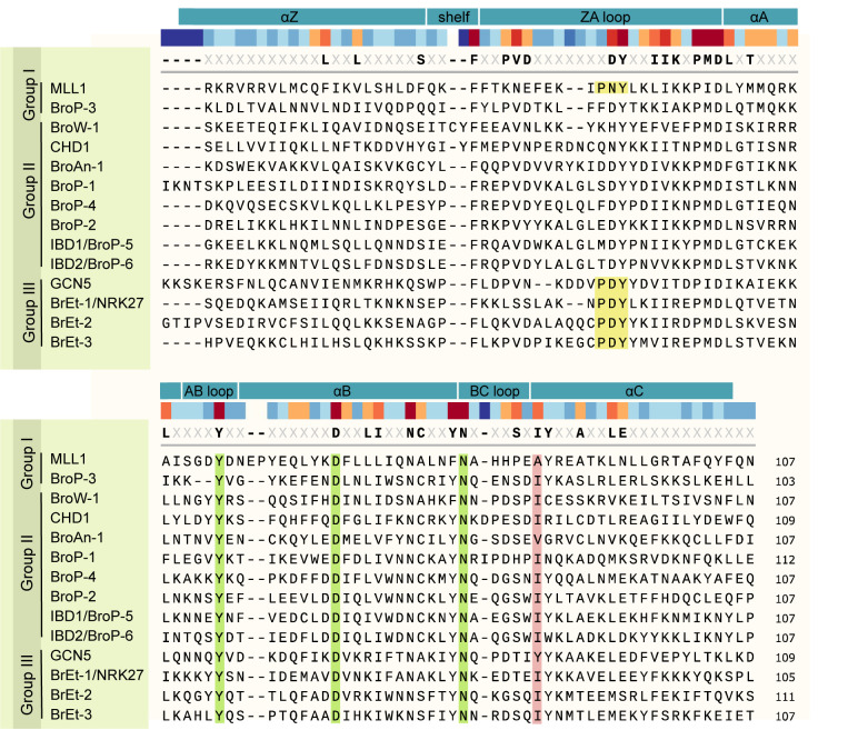Bromodomain-containing proteins in the unicellular eukaryote <i>Tetrahymena thermophila</i>.