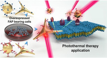 Exploring Morphology of Thermoplasmonic Nanoparticles to Synergize Immunotherapeutic Fibroblast Activation Protein-Positive Cell Sensitization and Photothermal Therapy.