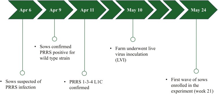 Determining the appropriate soybean meal inclusion level in lactation diets for sows endemically infected with porcine reproductive and respiratory syndrome virus (PRRSv).