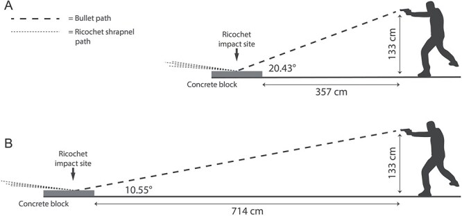 Elliptical Fourier analysis of bullet ricochet impact site plan-view shape in concrete.