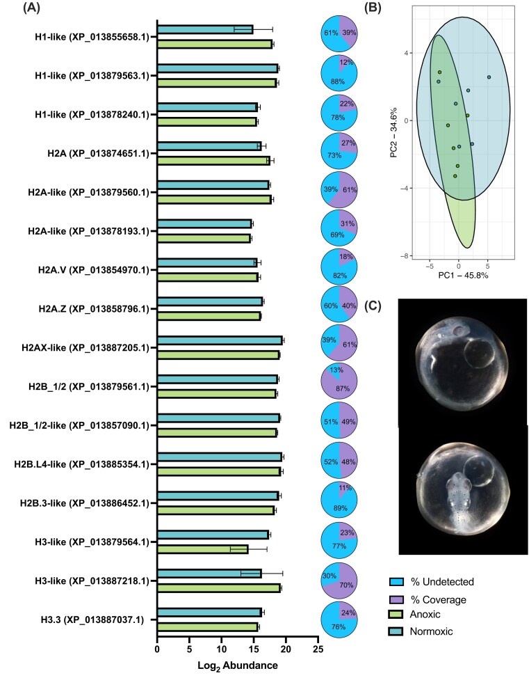 Global maintenance of histone post-translational modifications during the transition into anoxia in embryos of the annual killifish <i>Austrofundulus limnaeus</i>.