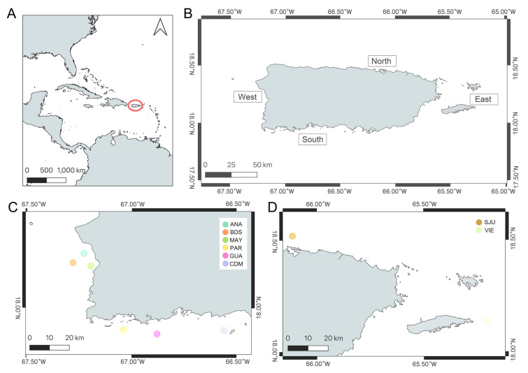 RAD-Seq-derived SNPs reveal no local population structure in the commercially important deep-sea queen snapper (<i>Etelis oculatus</i>) in Puerto Rico.