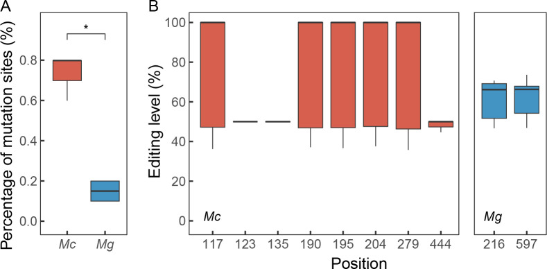 RNA editing generates mRNA isoforms with distinct stabilities that may expand the thermal tolerance of mRNA and proteins in <i>Mytilus</i> species.