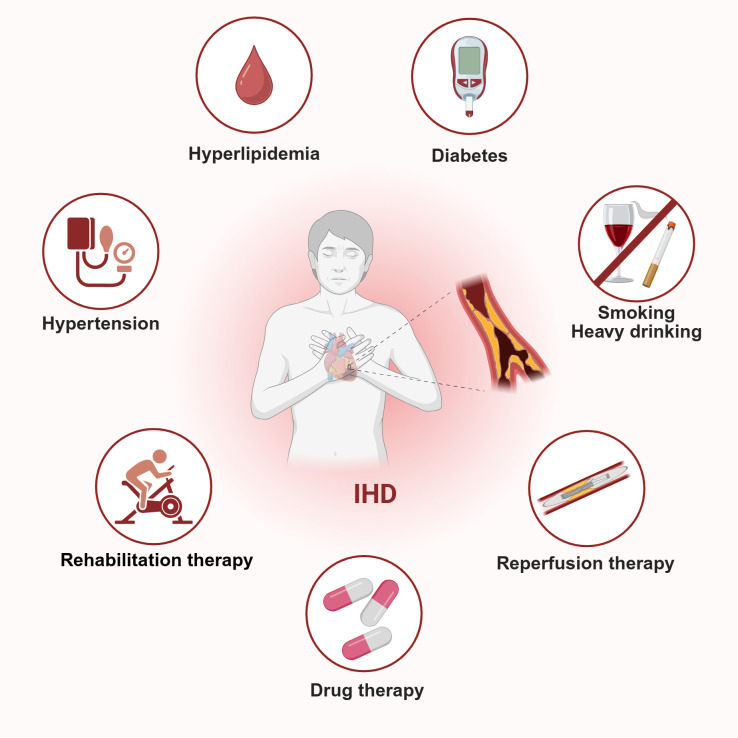 Cardiac rehabilitation in porcine models: Advances in therapeutic strategies for ischemic heart disease.