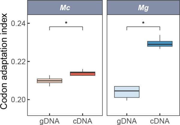 RNA editing generates mRNA isoforms with distinct stabilities that may expand the thermal tolerance of mRNA and proteins in <i>Mytilus</i> species.