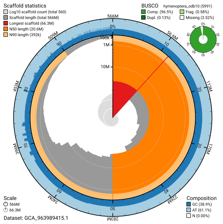 The genome sequence of the solitary wasp, <i>Cerceris ruficornis</i> (Fabricius, 1793).