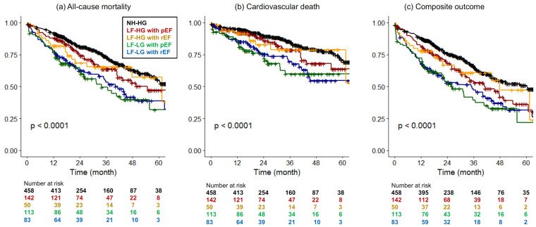 Clinical Outcomes of Transcatheter Aortic Valve Replacement in Patients with Various Flow-Gradient and Ejection Fraction Profiles.
