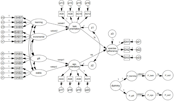 Sports Ability-Beliefs, Goal Orientation, and Exercise Adherence among Korean Golfers: A Causal/Multiple Mediation Model Using Phantom Variables.