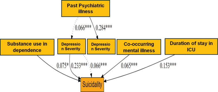 Predictors of suicidality in critical care ICU patients after discharge: A cross-sectional study.