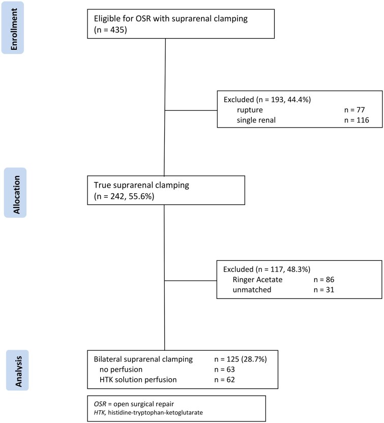 Acute kidney injury and aorta-related mortality during open surgery of the abdominal aorta with suprarenal clamping using different renal protection strategies.