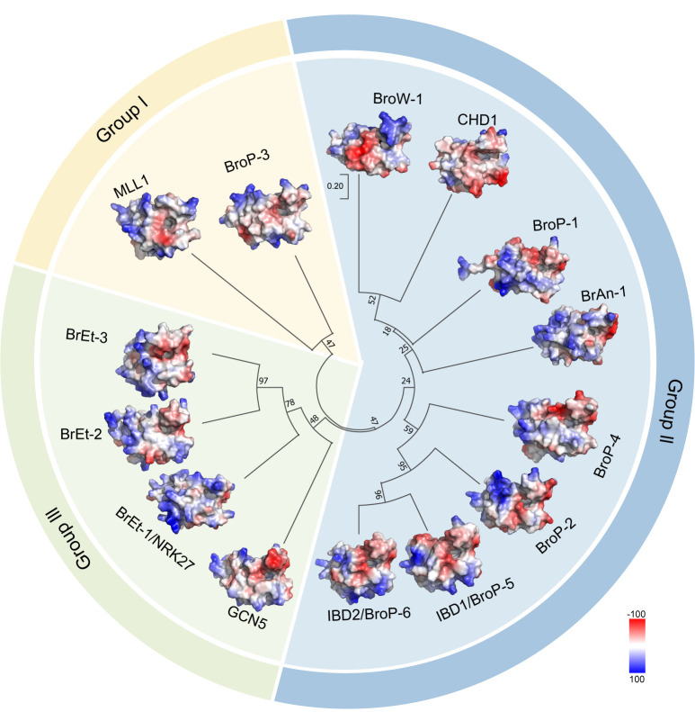 Bromodomain-containing proteins in the unicellular eukaryote <i>Tetrahymena thermophila</i>.