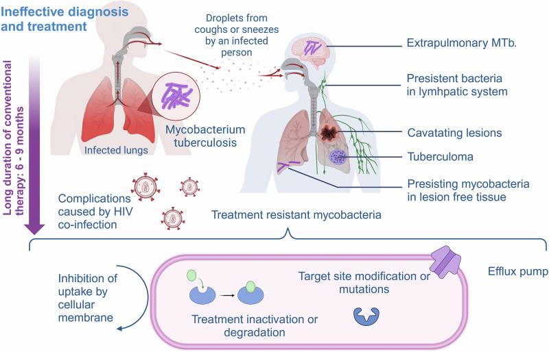 PET imaging of mycobacterial infection: transforming the pipeline for tuberculosis drug development.