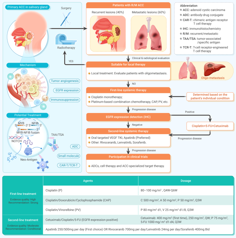 Practical guideline for recurrent or metastatic adenoid cystic carcinoma.