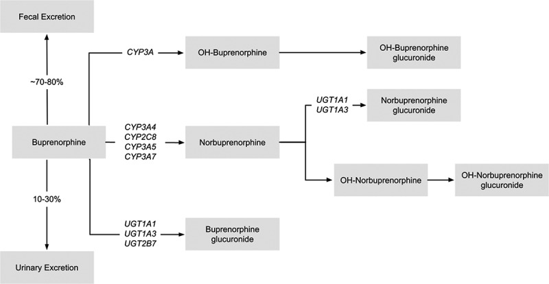 Pharmacogenomics of buprenorphine - a narrative review.