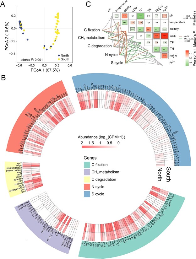 Salinity drives the biogeography and functional profiles of the oyster-associated microbiome along the Chinese coastline.