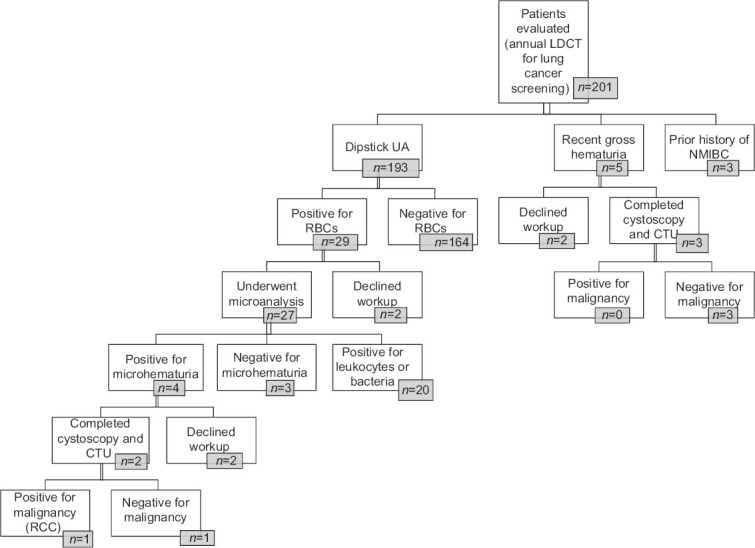 Hematuria screening in patients undergoing lung cancer screening.