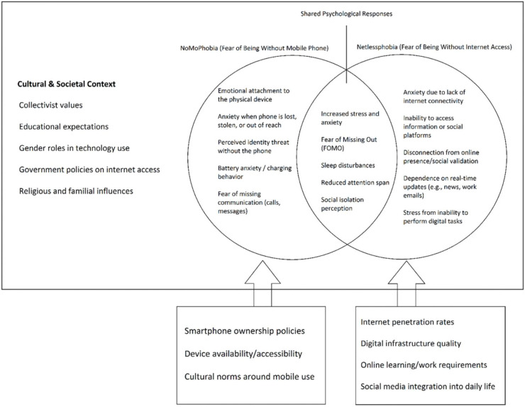 Cross-Cultural Comparison of Nomophobia, Netlessphobia and Anxiety among Nursing Students in Iran and Türkiye: <i>A mediation analysis</i>.