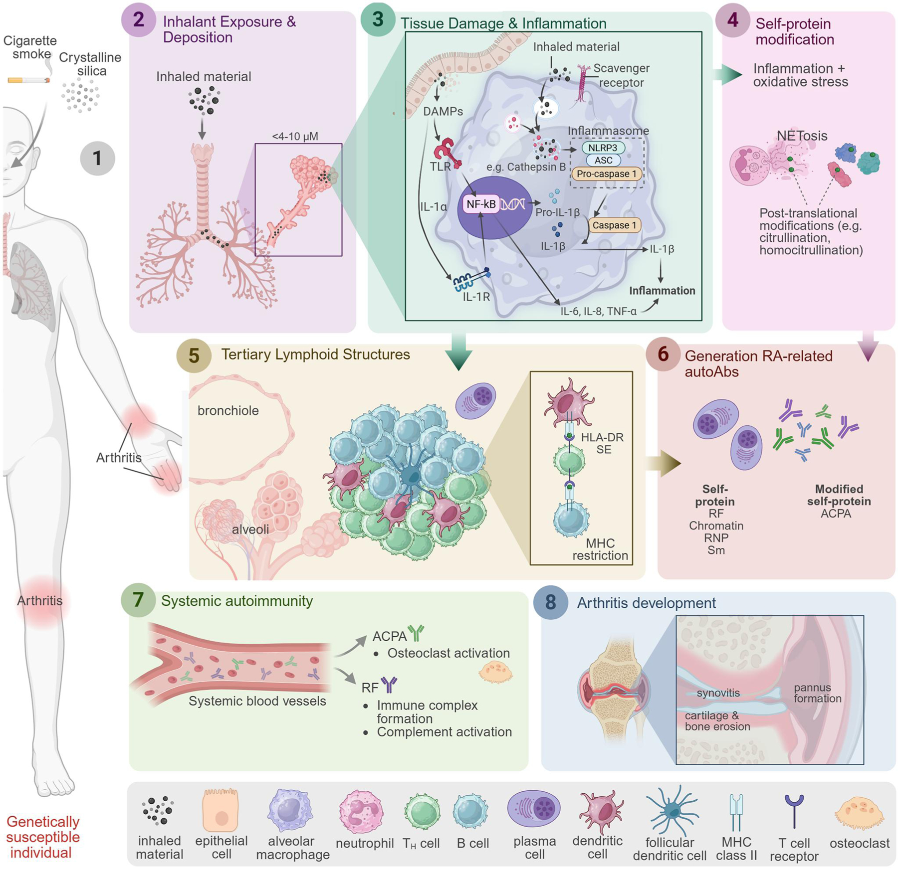Modeling environmental inhalant exposure in rheumatoid arthritis.