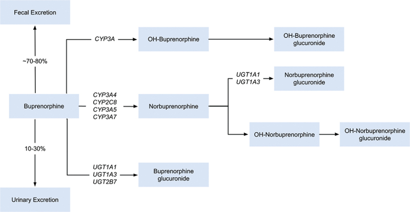 Pharmacogenomics of buprenorphine - a narrative review.