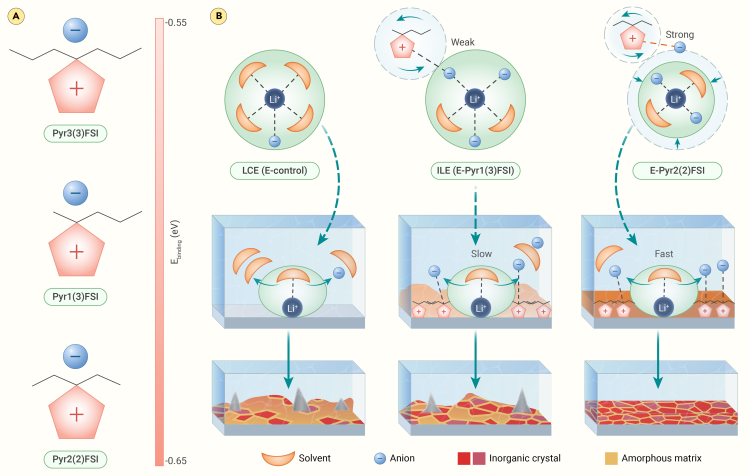 Symmetric molecular design: Stable lithium metal batteries.