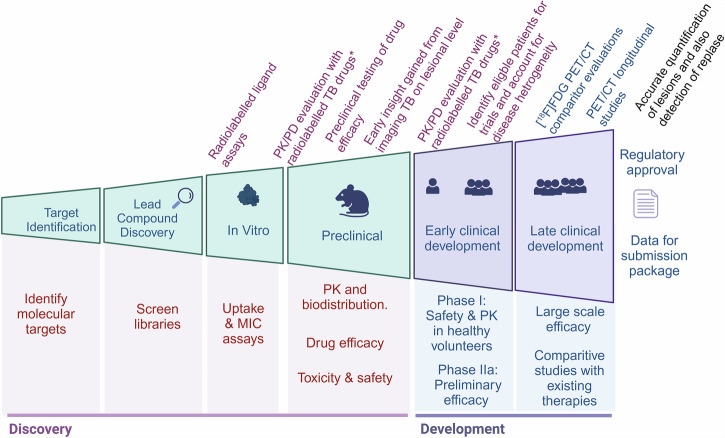 PET imaging of mycobacterial infection: transforming the pipeline for tuberculosis drug development.