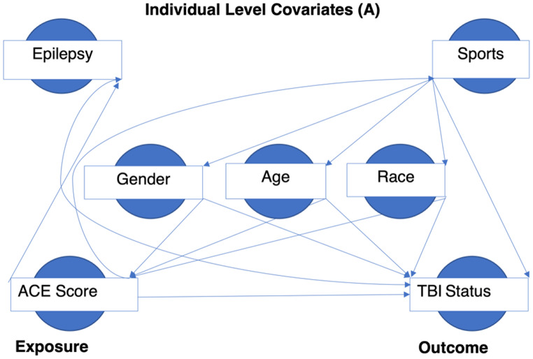 Adverse Childhood Experiences, Traumatic Brain Injuries, and Modifying Effects of Parental Aggravation and Bullying-Victimization Among Children and Adolescents.