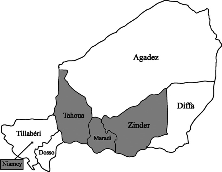 Surgical Complications of Typhoid Fever: First National Typhoid Conference in Niamey, Niger.