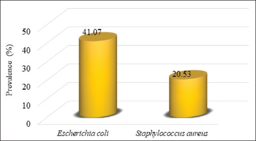 Molecular identification of antibiotic-resistant and virulent <i>Escherichia coli and Staphylococcus aureus</i> isolated from dogs in Southern Benin.