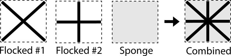 Comparative performance of sponge versus flocked swabs for culture-based and metagenomic detection of microbial contamination in the healthcare environment.