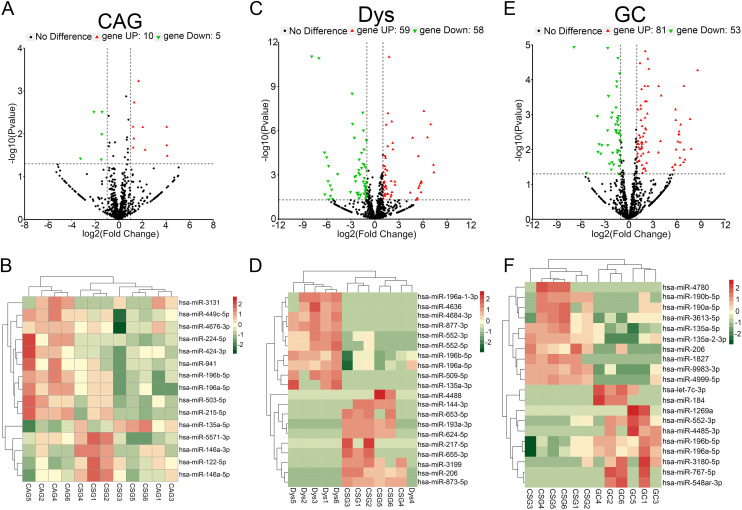 Helicobacter pylori Promoted miR-196a/b-5p Expression and Accelerated Tumorigenesis of the Gastric Mucosa by Targeting IGF2BP1 and Activating PI3K-Akt Signaling Pathway.