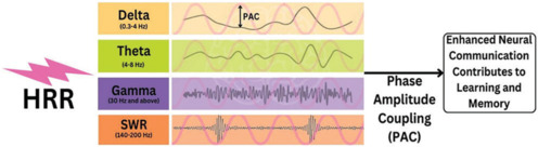 Neuro-respiratory Synchronization: Connecting Brainwaves and Breath for Cognitive Harmony - Narrative Review.