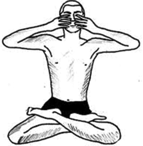 The Effect of Breathing Yoga "Bhramary Pranayama" on Fatigue and Depression in Patients with Multiple Sclerosis: A Randomized Clinical Trial.